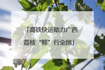 高铁快运助力广西荔枝“鲜”行全国
