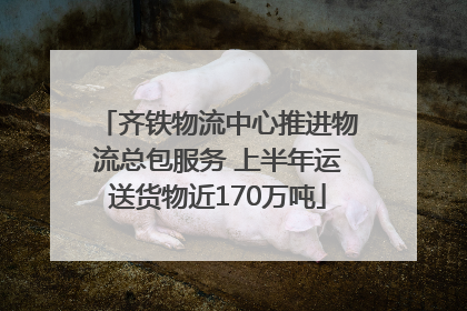 齐铁物流中心推进物流总包服务 上半年运送货物近170万吨