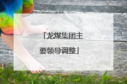 龙煤集团主要领导调整