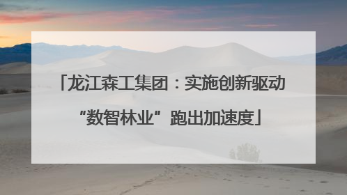 龙江森工集团：实施创新驱动 “数智林业”跑出加速度