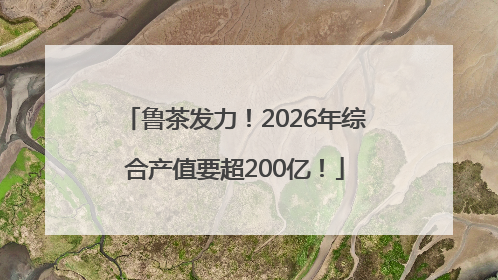 鲁茶发力！2026年综合产值要超200亿！