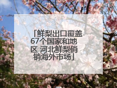 鲜梨出口覆盖67个国家和地区 河北鲜梨俏销海外市场