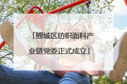 鲤城区纺织面料产业链党委正式成立