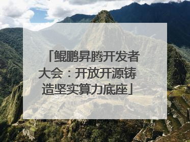 鲲鹏昇腾开发者大会：开放开源铸造坚实算力底座