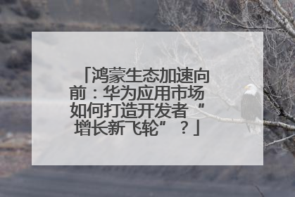 鸿蒙生态加速向前：华为应用市场如何打造开发者“增长新飞轮”？