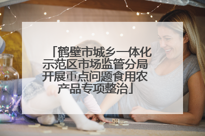 鹤壁市城乡一体化示范区市场监管分局开展重点问题食用农产品专项整治