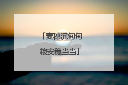 麦穗沉甸甸 粮安稳当当