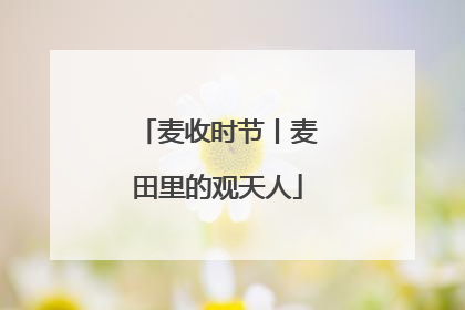 麦收时节丨麦田里的观天人