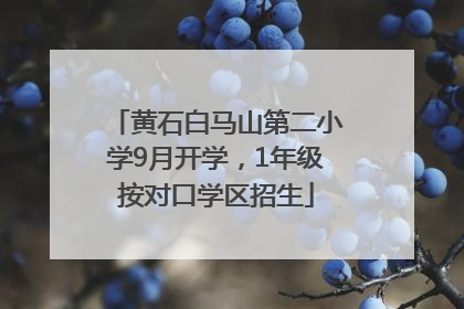黄石白马山第二小学9月开学，1年级按对口学区招生