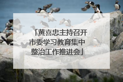 黄喜忠主持召开市委学习教育集中整治工作推进会
