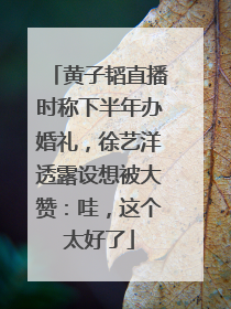 黄子韬直播时称下半年办婚礼，徐艺洋透露设想被大赞：哇，这个太好了