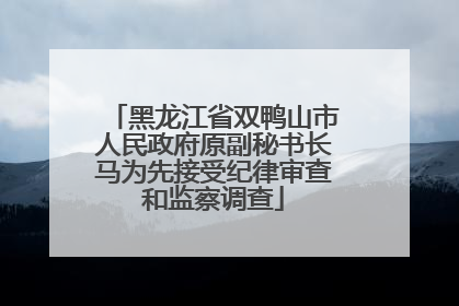 黑龙江省双鸭山市人民政府原副秘书长马为先接受纪律审查和监察调查