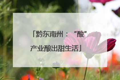 黔东南州：“酸”产业酿出甜生活