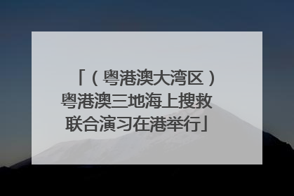 （粤港澳大湾区）粤港澳三地海上搜救联合演习在港举行