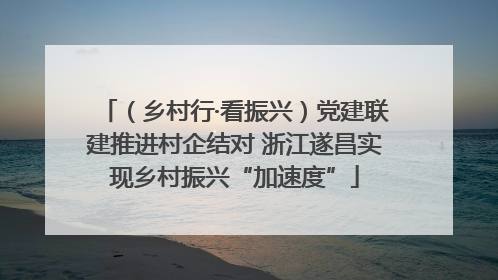 （乡村行·看振兴）党建联建推进村企结对 浙江遂昌实现乡村振兴“加速度”