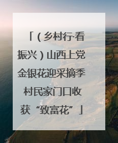 （乡村行·看振兴）山西上党金银花迎采摘季 村民家门口收获“致富花”
