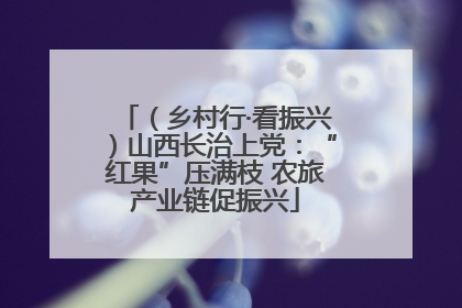 （乡村行·看振兴）山西长治上党：“红果”压满枝 农旅产业链促振兴