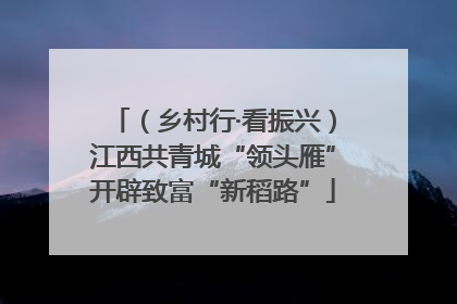（乡村行·看振兴）江西共青城“领头雁”开辟致富“新稻路”