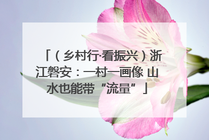 （乡村行·看振兴）浙江磐安：一村一画像 山水也能带“流量”