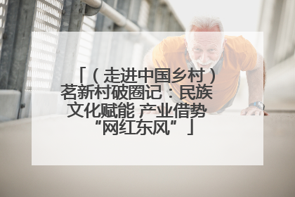 （走进中国乡村）茗新村破圈记：民族文化赋能 产业借势 “网红东风”