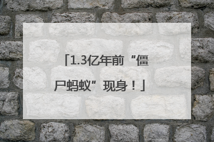 1.3亿年前“僵尸蚂蚁”现身！
