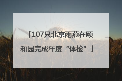 107只北京雨燕在颐和园完成年度“体检”