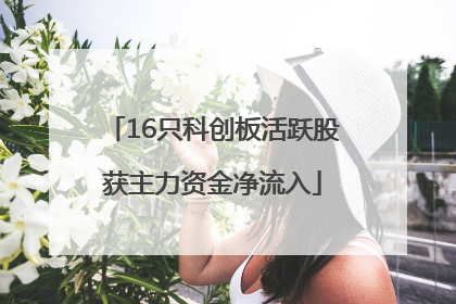16只科创板活跃股获主力资金净流入