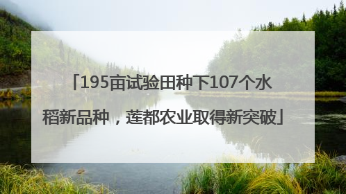 195亩试验田种下107个水稻新品种，莲都农业取得新突破