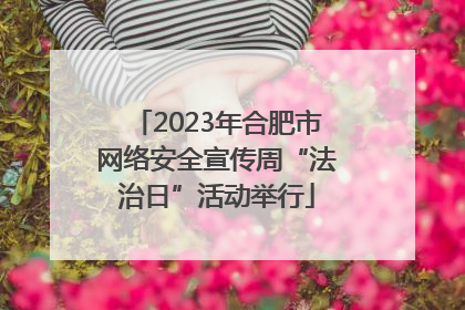 2023年合肥市网络安全宣传周“法治日”活动举行