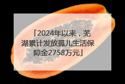 2024年以来，芜湖累计发放孤儿生活保障金2758万元