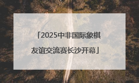 2025中非国际象棋友谊交流赛长沙开幕