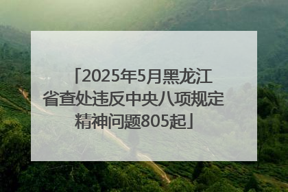 2025年5月黑龙江省查处违反中央八项规定精神问题805起