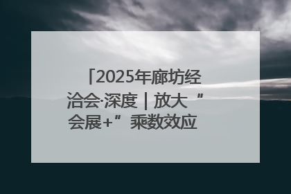2025年廊坊经洽会·深度｜放大“会展+”乘数效应 打造消费新场景