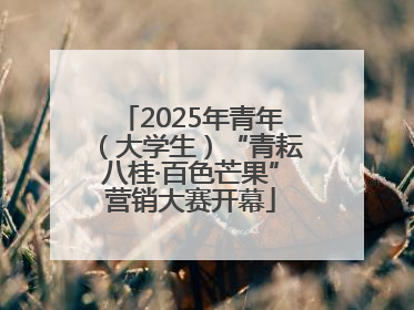 2025年青年（大学生）“青耘八桂·百色芒果”营销大赛开幕