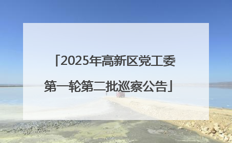 2025年高新区党工委第一轮第二批巡察公告