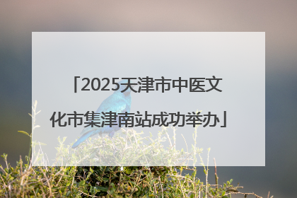 2025天津市中医文化市集津南站成功举办