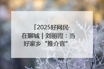 2025好网民·在聊城｜刘丽霞：当好家乡“推介官” 秀出乡村新风貌
