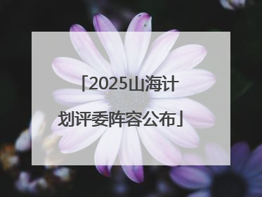 2025山海计划评委阵容公布