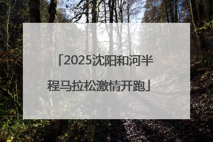 2025沈阳和河半程马拉松激情开跑