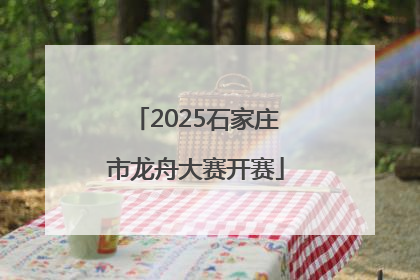 2025石家庄市龙舟大赛开赛