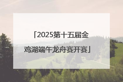 2025第十五届金鸡湖端午龙舟赛开赛