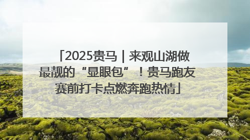 2025贵马｜来观山湖做最靓的“显眼包”！贵马跑友赛前打卡点燃奔跑热情