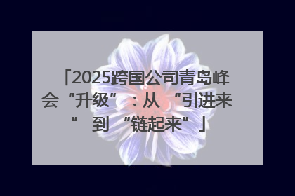 2025跨国公司青岛峰会“升级”：从 “引进来” 到 “链起来”
