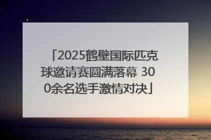2025鹤壁国际匹克球邀请赛圆满落幕 300余名选手激情对决