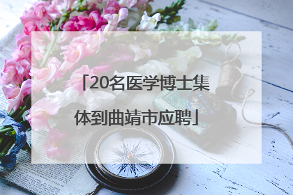 20名医学博士集体到曲靖市应聘