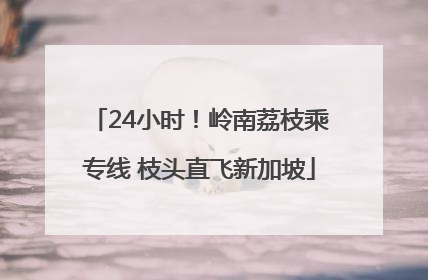 24小时！岭南荔枝乘专线 枝头直飞新加坡