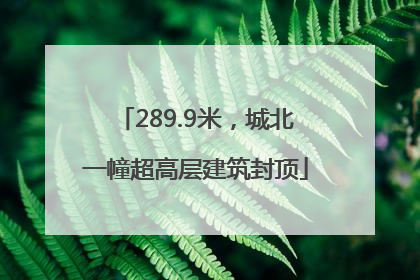 289.9米，城北一幢超高层建筑封顶