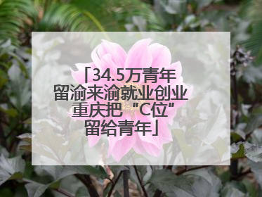34.5万青年留渝来渝就业创业 重庆把“C位”留给青年