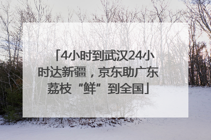 4小时到武汉24小时达新疆，京东助广东荔枝“鲜”到全国