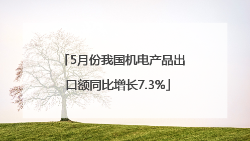 5月份我国机电产品出口额同比增长7.3%